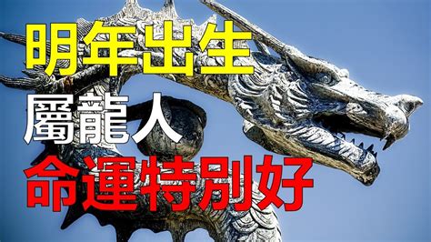 2024龍寶寶好嗎